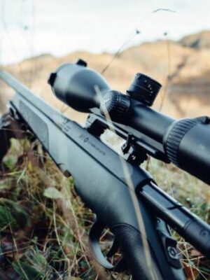 Steyr Mannlicher CL2 SX 308 win Gallery Image